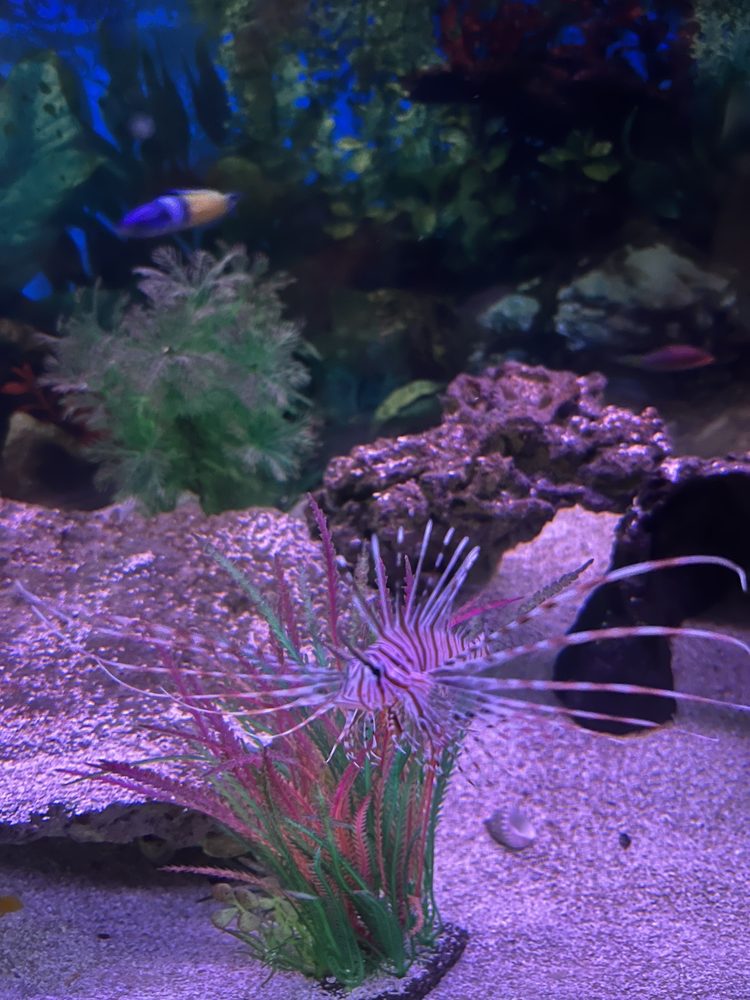 HARDY’S AQUATICS & PETS Updated October 2024 13 Photos & 11 Reviews