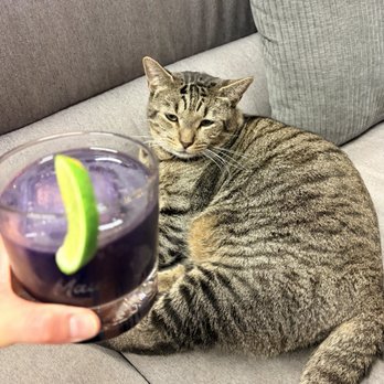 Ko'olau Distillery - Whiskey & Ube - Distilleries Near Me - Kailua, Hawaii