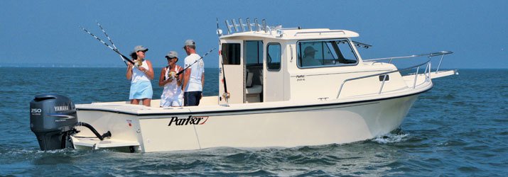 Scallop Adventure Logo
