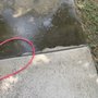Photo of Berserker Blast Pressure Washing