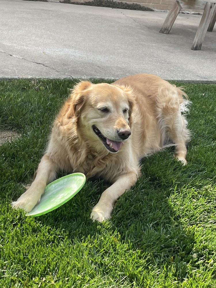 ANIMAL CLINIC OF ALSIP Updated August 2024 16 Reviews 12035 S