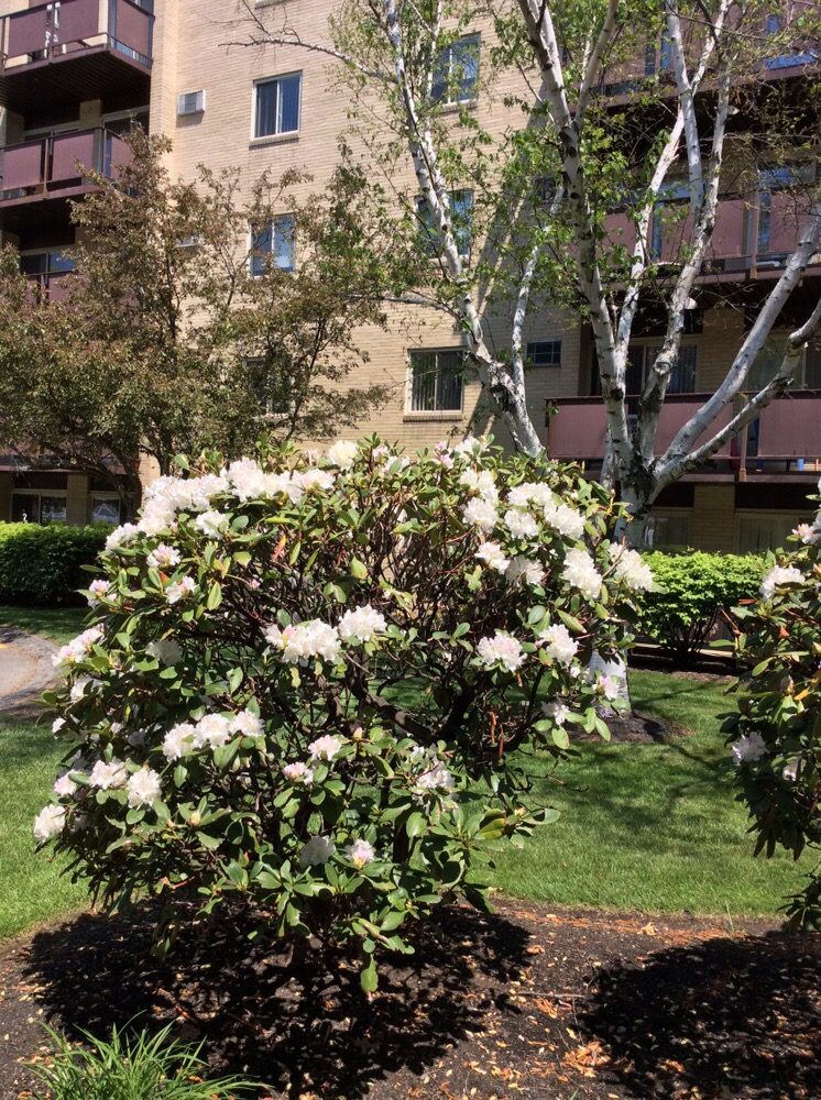 LEISURE LANE APARTMENTSBRICKPOINT PROPERTIES Updated September 2024