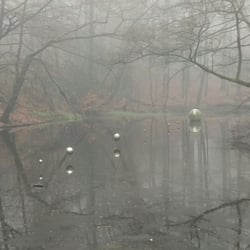 Sonsbeek Park