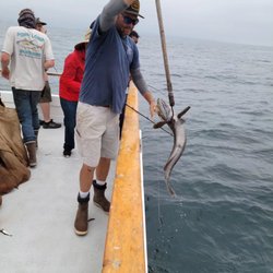 Point Loma Sportfishing