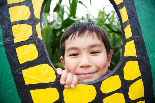 Bob's Corn & Pumpkin Farm by null