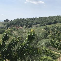 Castellina in Chianti