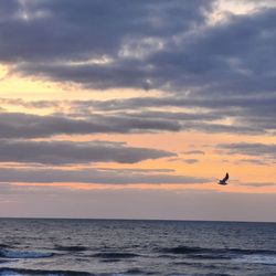 City of Jacksonville Beach