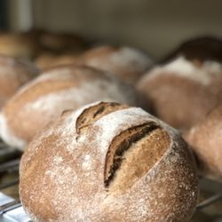 Wheatsfield Cooperative - Whole Wheat Sourdough, artisan bread made-from-scratch at the Co-op.