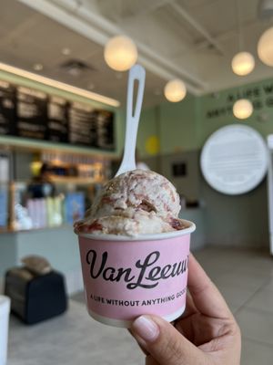 Van Leeuwen Ice Cream by null