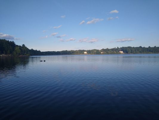 Wompatuck State Park by null