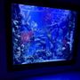 So Cal Aquatic Life Service