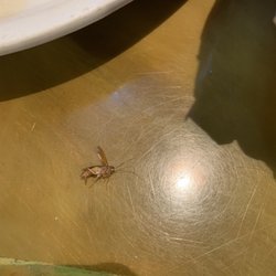 El Cabrito Mexican Restaurant