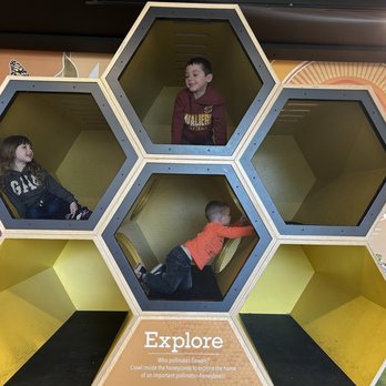 Cleveland Botanical Garden - Climbing beehive - Botanical Gardens Near Me - Cleveland, Ohio