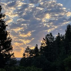 Pagosa Pines RV Park - View from walking trail at sunrise