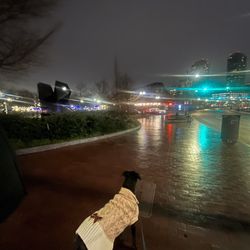 Greenway Carousel