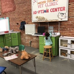 Forever Curious Children's Museum - Kids loved this play animal hospital area which had drawers of goodies.