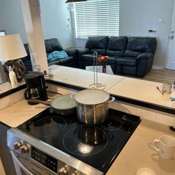 Keep Animals Out - The kitchen they described as filthy after brunch was covered or put away .... Snapped 15 min after they left ... - Wildlife Control Near Me Keep Animals Out - The kitchen they described as filthy after brunch was covered or put away .... Snapped 15 min after they left ... - Wildlife Control Near Me