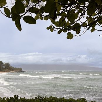 Paia Inn - Hotels Near Me - Paia, Hawaii