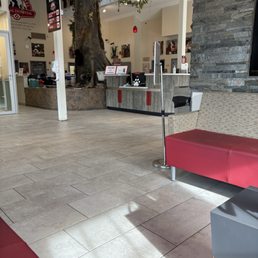 Cat area in the lobby Cat area in the lobby