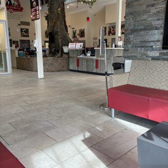 Mount Laurel Animal Hospital - Cat area in the lobby - Veterinarians Near Me - Mount Laurel, New Jersey