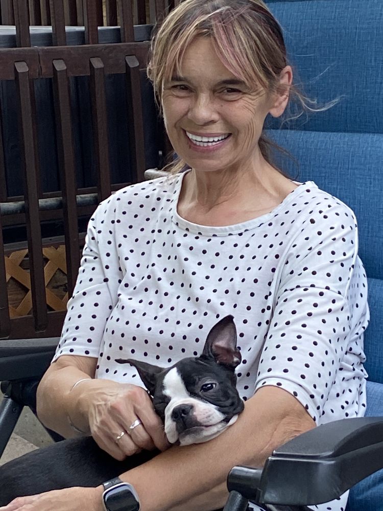 PET CITY PET SHOPS Updated October 2024 29 Photos & 66 Reviews