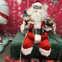 Xmas Xmas
