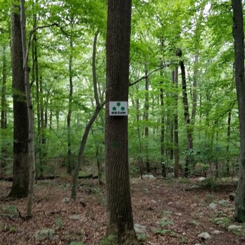 Westwoods Trails - One of the trail intersection signs - Hiking Near Me - Guilford, Connecticut Westwoods Trails - One of the trail intersection signs - Hiking Near Me - Guilford, Connecticut