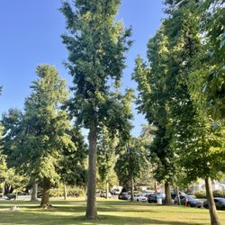 Glenoaks Park