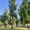 Glenoaks Park gift card