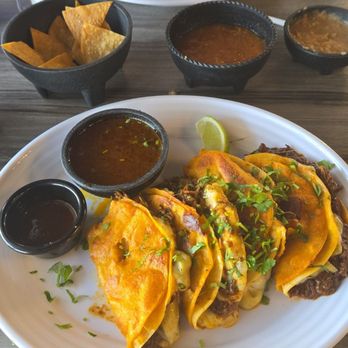 Guanatos Grub - The best queso birris tacos I've ever had in my life. - Mexican Near Me - Houston, Texas Guanatos Grub - The best queso birris tacos I've ever had in my life. - Mexican Near Me - Houston, Texas