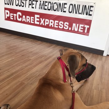 PetCare Express - Veterinarians Near Me - Houston, Texas PetCare Express - Veterinarians Near Me - Houston, Texas