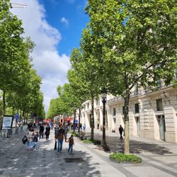 Avenue des Champs-Élysées