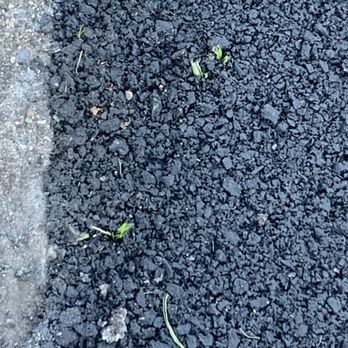 Burke Asphalt - Grass growing through blacktop only two weeks later - Masonry/Concrete Near Me - Allentown, Pennsylvania