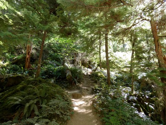 Watson Falls by null
