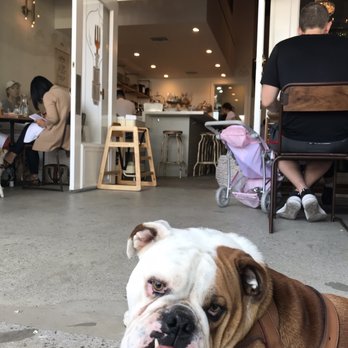 Loupiotte Kitchen - Dog friendly patio. @carltonlabulldog approved. - French Near Me - Los Angeles, California Loupiotte Kitchen - Dog friendly patio. @carltonlabulldog approved. - French Near Me - Los Angeles, California