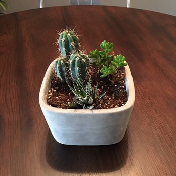 Parkview Nursery - Canyon Crest - Love this place! - Nurseries & Gardening Near Me - Riverside, California Parkview Nursery - Canyon Crest - Love this place! - Nurseries & Gardening Near Me - Riverside, California