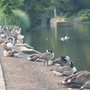 Photo of Kelsey Park