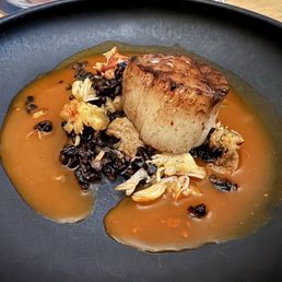 Scallop Scallop