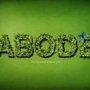 Photo of Abode Rentals