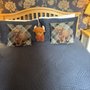 Dionard Guest House
