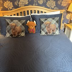 Dionard Guest House - Bed in room 4