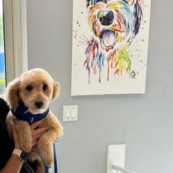 Elysiem - Hermoine, after her latest groom with Betty. Thanks Betty and the staff at. Elysiem.