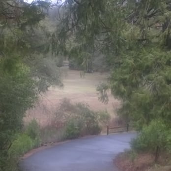 William Heise County Park - View down road from cabin #5 - Campgrounds Near Me - Julian, California William Heise County Park - View down road from cabin #5 - Campgrounds Near Me - Julian, California