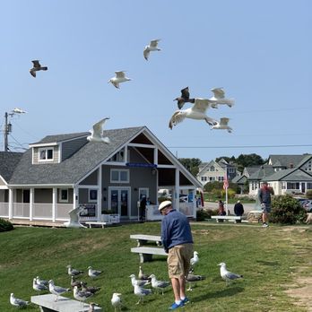 Nubble Lighthouse - Spoke to this gentleman. He said he comes 3x a week to feed the birds they pretty much know him now and his signature hat - Landmarks & Historical Buildings Near Me - York, Maine