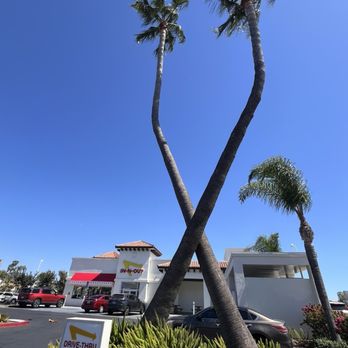 In-N-Out Burger - In-N-Out Eastlake Pkwy, Chula Vista, CA - Fast Food Near Me - Chula Vista, California In-N-Out Burger - In-N-Out Eastlake Pkwy, Chula Vista, CA - Fast Food Near Me - Chula Vista, California