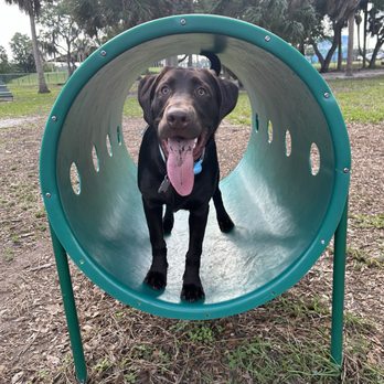 Mobbly Bayou Dog Park - dog, park, outdoors, pet friendly, animals, nature - Dog Parks Near Me - Oldsmar, Florida Mobbly Bayou Dog Park - dog, park, outdoors, pet friendly, animals, nature - Dog Parks Near Me - Oldsmar, Florida