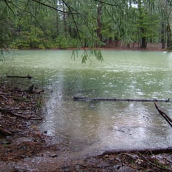 Mountain Valley Real Estate - Pond in Oak Run, Ca