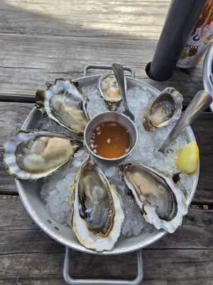 Hama Hama Oyster Saloon by null