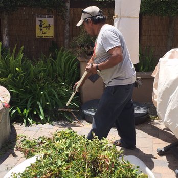 Cortez Tree Care Inc. - Cleaning up the mess - Tree Services Near Me Cortez Tree Care Inc. - Cleaning up the mess - Tree Services Near Me