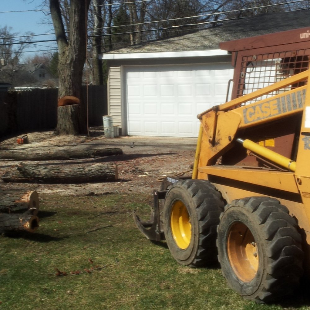Juan Lopez Tree Service - Juan has a mini-caterpiller. - Tree Services Near Me - Aurora, Illinois Juan Lopez Tree Service - Juan has a mini-caterpiller. - Tree Services Near Me - Aurora, Illinois